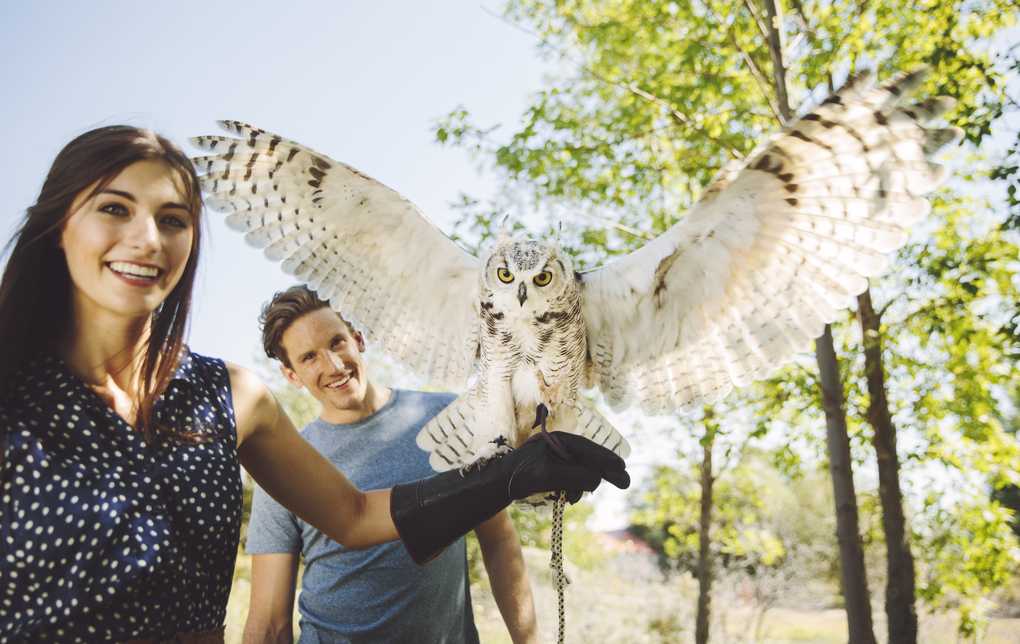 Alberta Birds of Prey Centre / Sabrina Hill/Travel Alberta